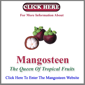 Click Here To Enter our Freeze Dried Mangosteen
                    Website